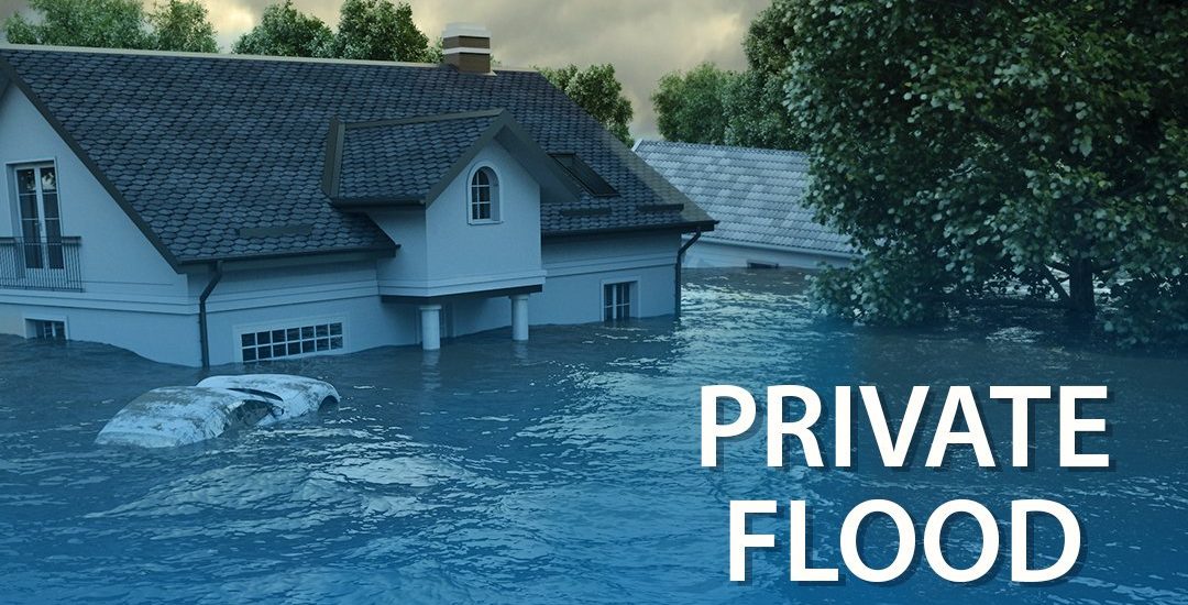 Private Flood Insurance Options