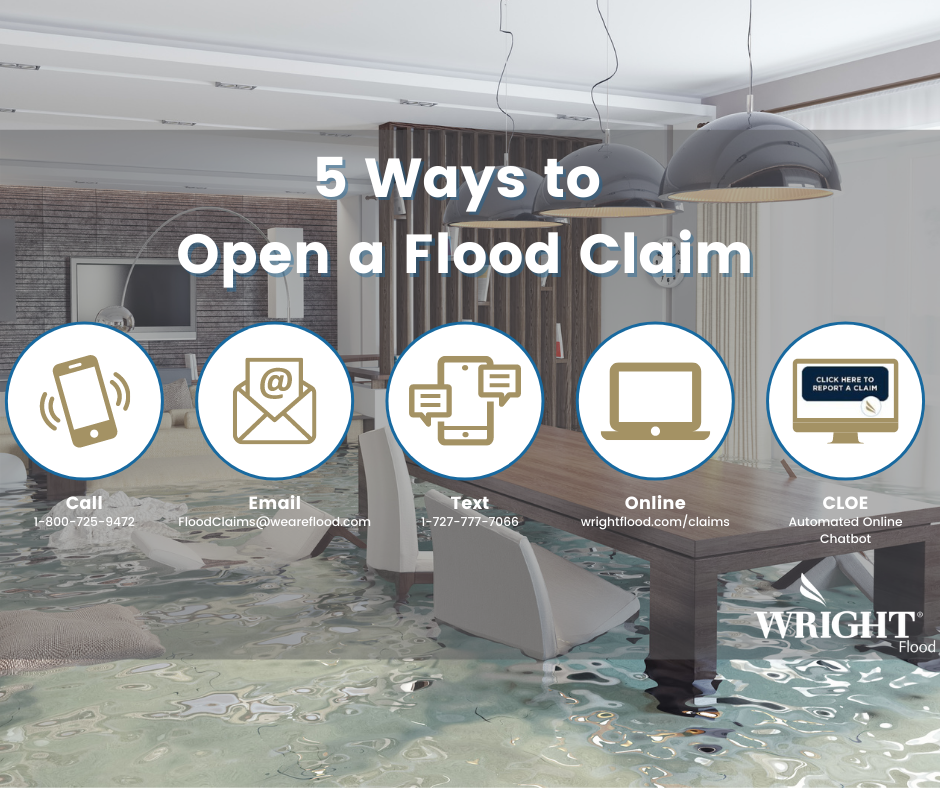 Flood Insurance Adjusters Manual - Financial Report